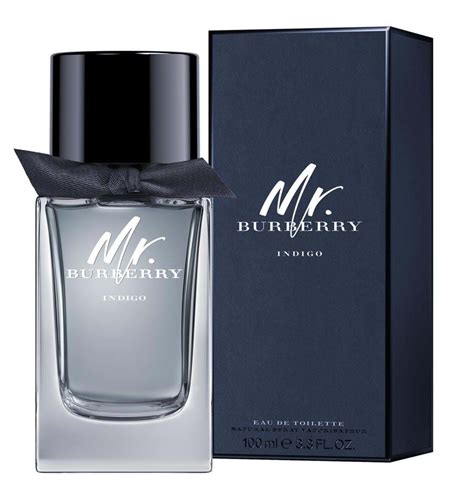 mr burberry eau de toilette set|mr burberry indigo 100ml.